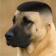 Tone da Bica avatar