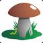 mushroom