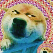 喜狼狼与灰太羊