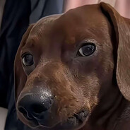 清醒的爱肘击布鲁斯