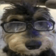 dave's avatar