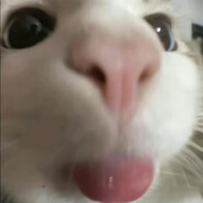 小猫开爱心车把高考生送进网吧打派