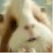 爱国 富强 包容 厚德