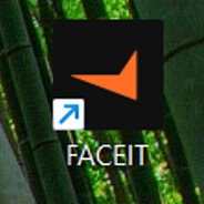 иГрОк ФеЙсИтА