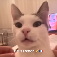 Paco