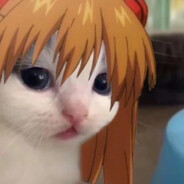 在告别式给我带泪奔丧的情人只想是你