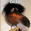 skebob peek | clavicus vile