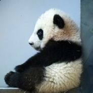 1000分老年选手