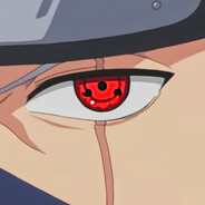 nowitness avatar