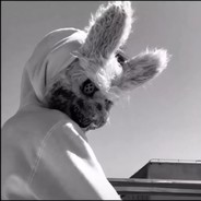 你是哪个村的狙狙啊