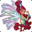 WinX Leila