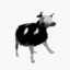 Polish Cow