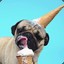 hufflepug0815