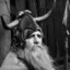 moondog1224