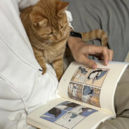 電子煙會夢見傳統香煙