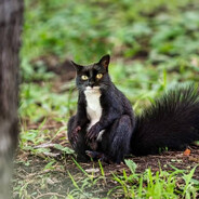 faj1 - steam id 76561198977883200