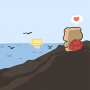 天才小熊猫猫！