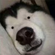 在酒店里被18个富婆轮流发钱