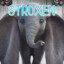 Stroxen