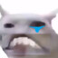 xDok
