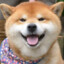 咕咕