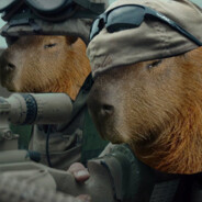 Делаю рентген