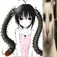 kamyczekxd