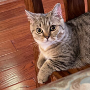 ♕𝓑𝓵𝓪𝓷𝓴.𝓓