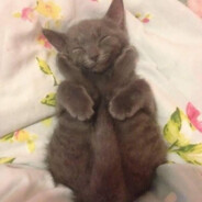 puturhandsonmyshoulders