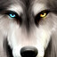 Sky`Wøℓf