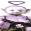 Couzin J