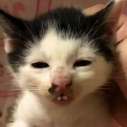 зеленый фактор - steam id 76561199818594093