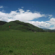 巴卜巴卜歪比巴卜