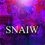 snaiw