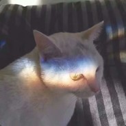 轩尼诗道（港）