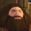 HairyHagrid