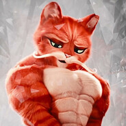 Gato