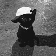 kkirrixxqws avatar