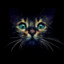 killercat96