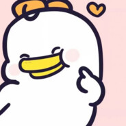 一朵娇羞的玫瑰花