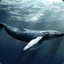 Whale