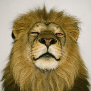 BOT :) - steam id 76561199518721515