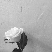 你的这把枪为什么弹道