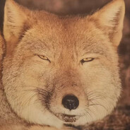 学理好难受快调查学历