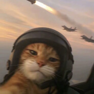 猫儿这个壮志凌云