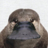 PLATYPUS