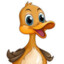 PeaceDuck