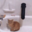 kittykatnutsack