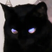 𝓕𝓸𝓻𝓮𝓿𝓮𝓻 - steam id 76561199248607622