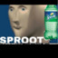 Sproot